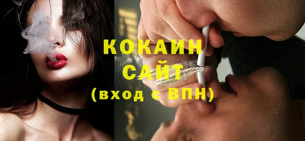 шишки Богородицк