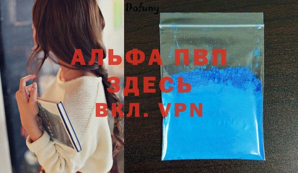 шишки Богородицк