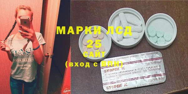 шишки Богородицк