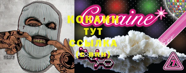 шишки Богородицк