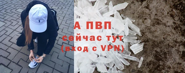 шишки Богородицк