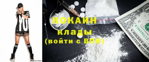 гашик Богданович