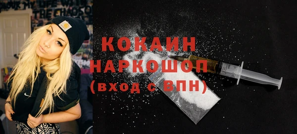 гашик Богданович