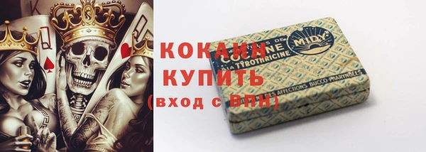 гашик Богданович